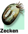 zecke-anim[1]