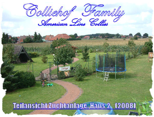 zuchtanlage-collie-colliehof-C_1_