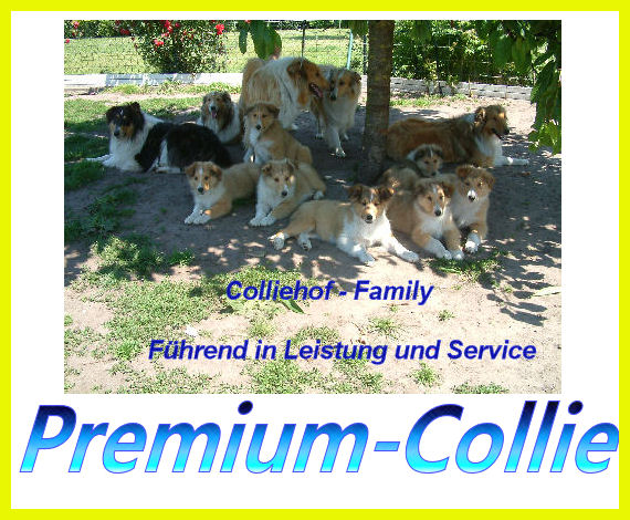 colliehof-gruppe-premium