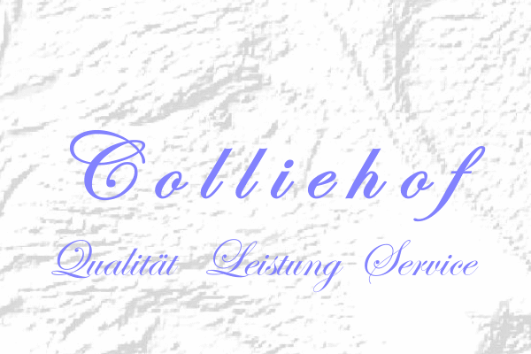 colliehof-qualität-leistung-service-esterwegen-emsland