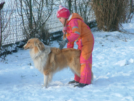 lassie-im-schnee-2009-c